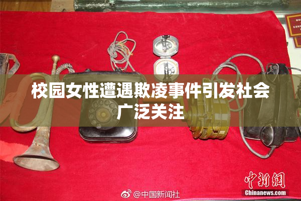 校园女性遭遇欺凌事件引发社会广泛关注