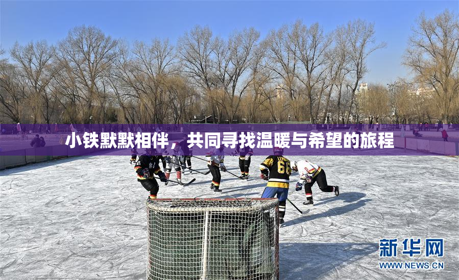 小铁默默相伴，共同寻找温暖与希望的旅程