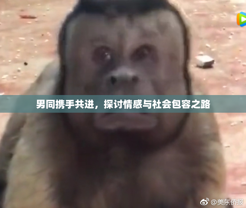 男同携手共进，探讨情感与社会包容之路