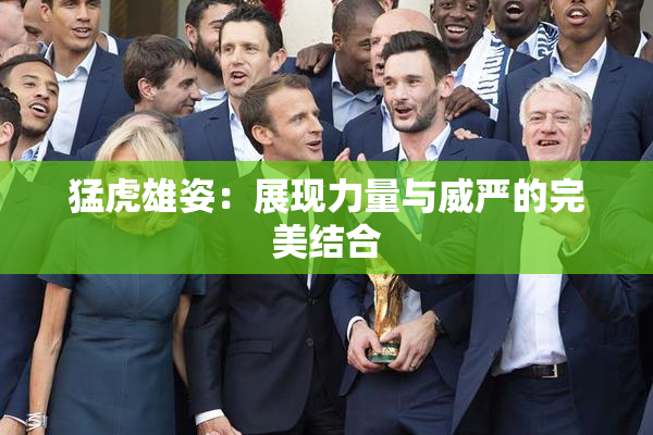 猛虎雄姿：展现力量与威严的完美结合