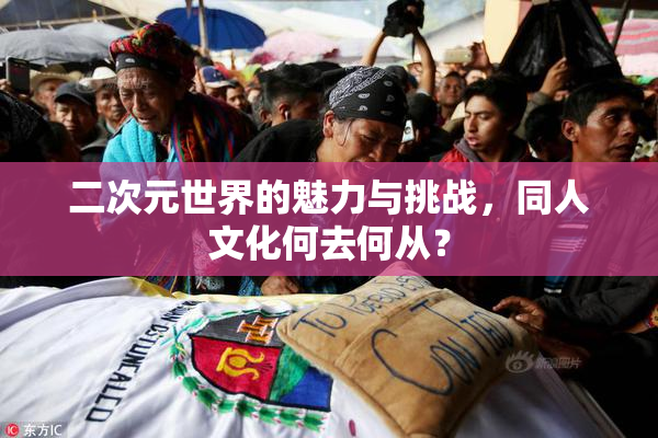 二次元世界的魅力与挑战，同人文化何去何从？