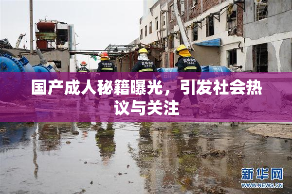 国产成人秘籍曝光，引发社会热议与关注
