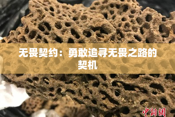 无畏契约：勇敢追寻无畏之路的契机