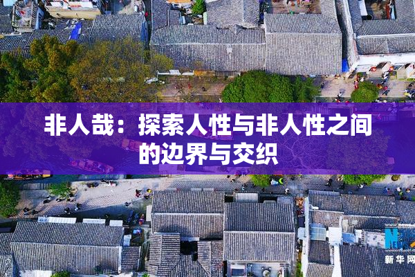 非人哉：探索人性与非人性之间的边界与交织