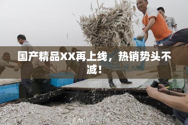 国产精品XX再上线，热销势头不减！