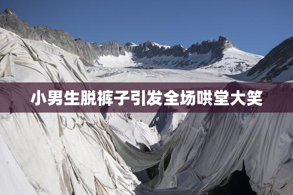 小男生脱裤子引发全场哄堂大笑