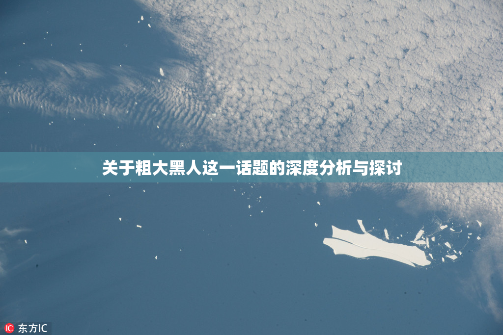 关于粗大黑人这一话题的深度分析与探讨