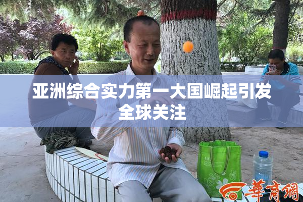 亚洲综合实力第一大国崛起引发全球关注