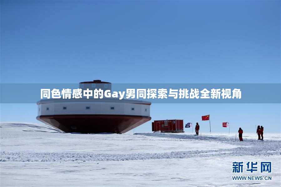 同色情感中的Gay男同探索与挑战全新视角