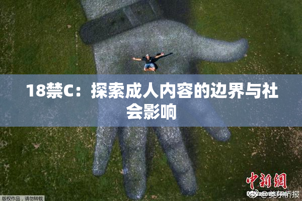 18禁C：探索成人内容的边界与社会影响