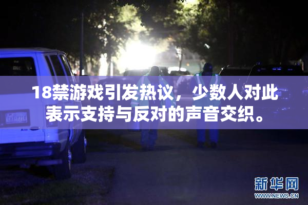 18禁游戏引发热议，少数人对此表示支持与反对的声音交织。