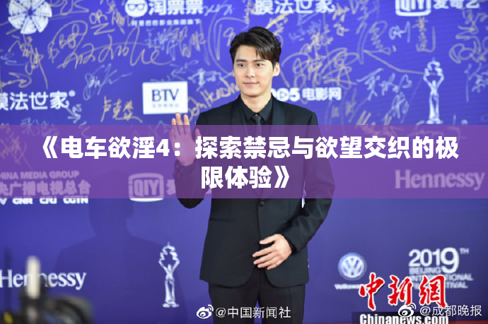 《电车欲淫4：探索禁忌与欲望交织的极限体验》