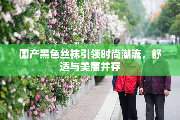 国产黑色丝袜引领时尚潮流，舒适与美丽并存