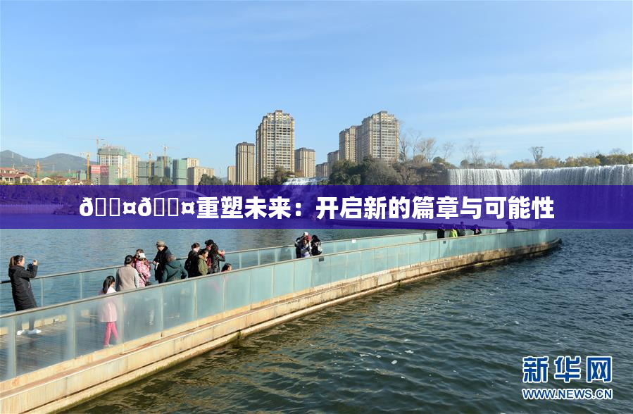 🐤🐤重塑未来：开启新的篇章与可能性