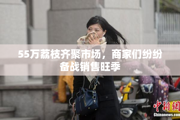 55万荔枝齐聚市场，商家们纷纷备战销售旺季