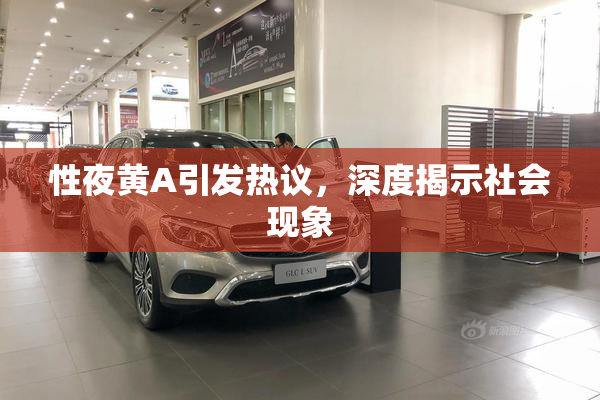 性夜黄A引发热议，深度揭示社会现象