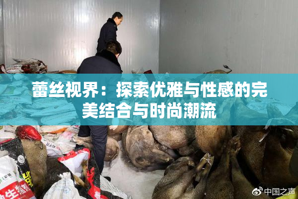 蕾丝视界：探索优雅与性感的完美结合与时尚潮流