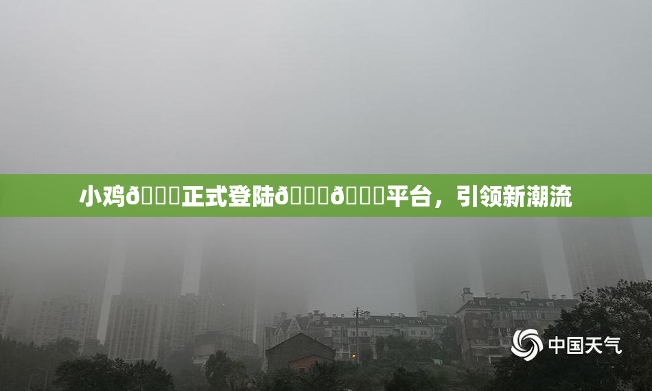 小鸡🐔正式登陆🍑🔞平台，引领新潮流