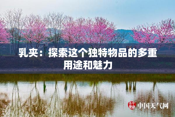 乳夹：探索这个独特物品的多重用途和魅力