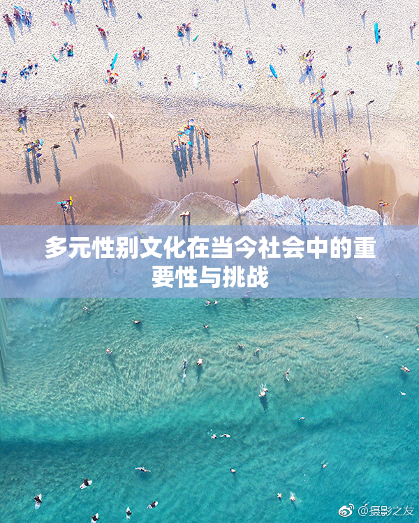 多元性别文化在当今社会中的重要性与挑战