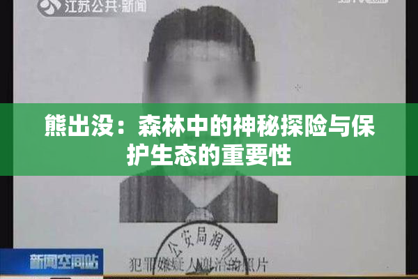 熊出没：森林中的神秘探险与保护生态的重要性