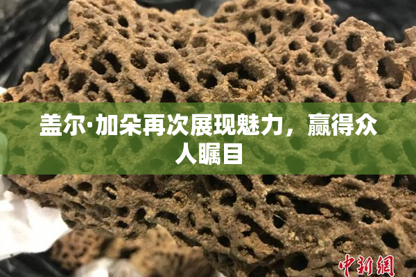 盖尔·加朵再次展现魅力，赢得众人瞩目