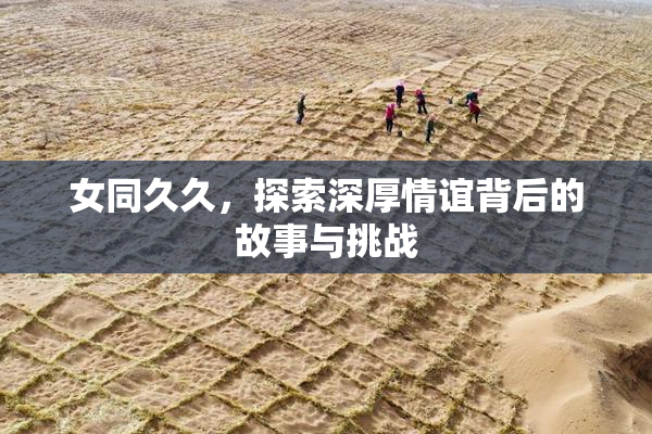 女同久久，探索深厚情谊背后的故事与挑战