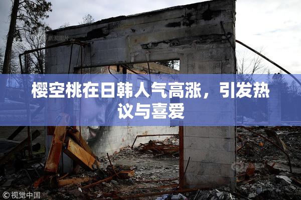 樱空桃在日韩人气高涨，引发热议与喜爱