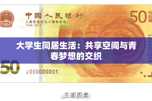 大学生同居生活：共享空间与青春梦想的交织