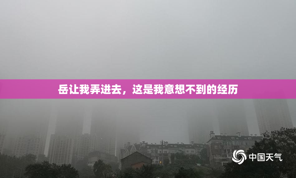 岳让我弄进去，这是我意想不到的经历