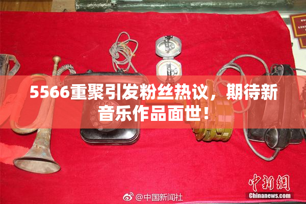 5566重聚引发粉丝热议，期待新音乐作品面世！