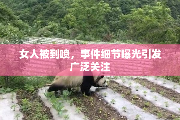 女人被到喷，事件细节曝光引发广泛关注