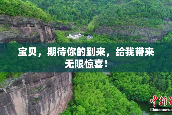 宝贝，期待你的到来，给我带来无限惊喜！