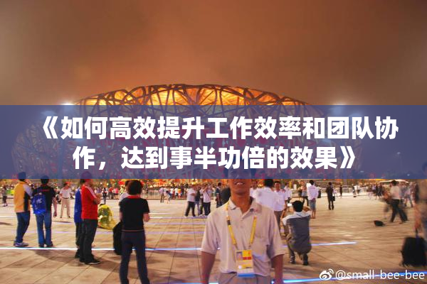 《如何高效提升工作效率和团队协作，达到事半功倍的效果》