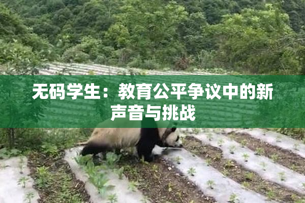 无码学生：教育公平争议中的新声音与挑战