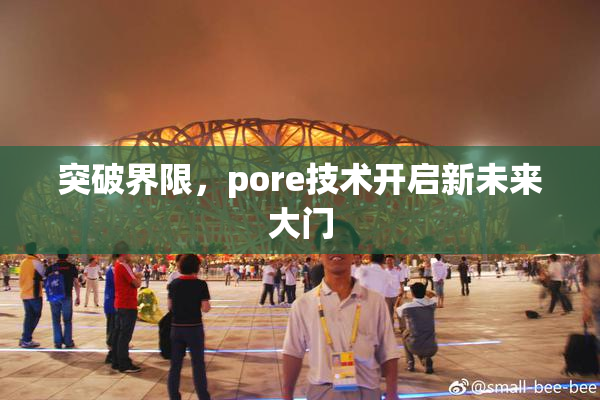 突破界限，pore技术开启新未来大门