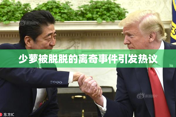 少萝被脱脱的离奇事件引发热议
