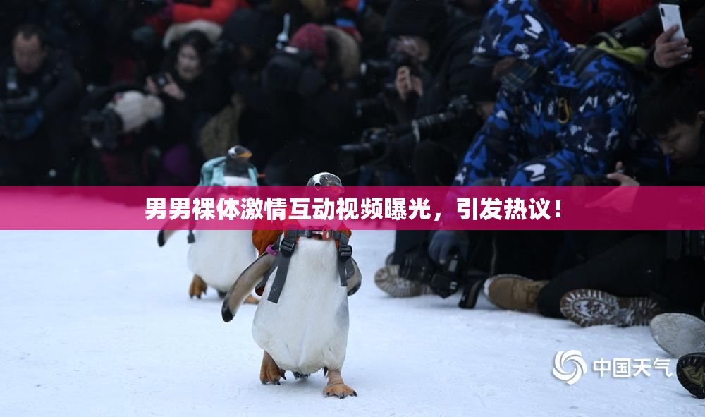 男男裸体激情互动视频曝光，引发热议！