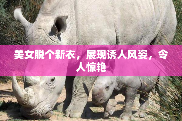 美女脱个新衣，展现诱人风姿，令人惊艳