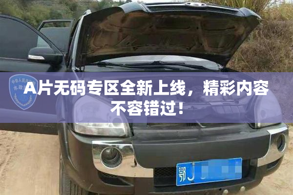 A片无码专区全新上线，精彩内容不容错过！