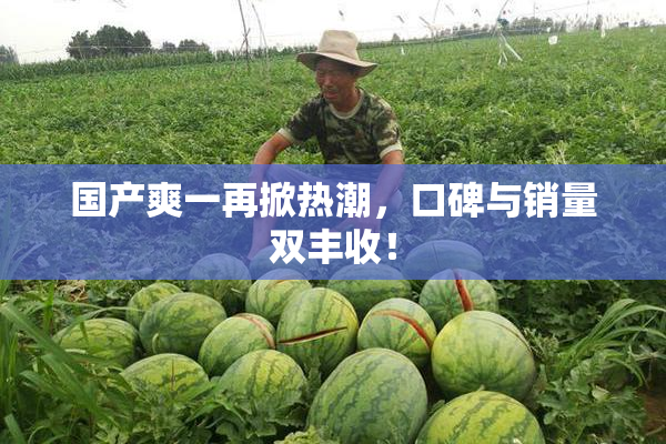 国产爽一再掀热潮，口碑与销量双丰收！