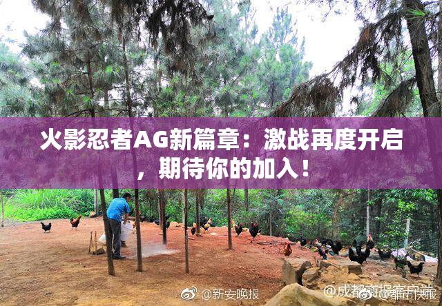 火影忍者AG新篇章：激战再度开启，期待你的加入！