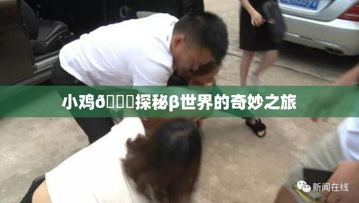 小鸡🐔探秘β世界的奇妙之旅