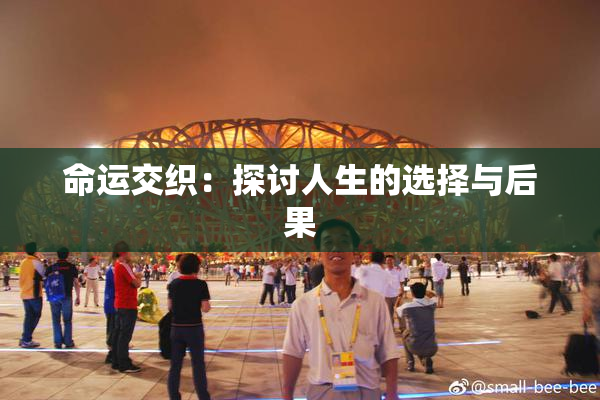 命运交织：探讨人生的选择与后果