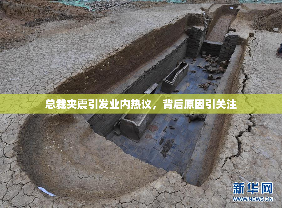 总裁夹震引发业内热议，背后原因引关注