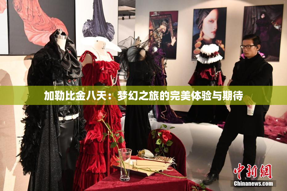 加勒比金八天：梦幻之旅的完美体验与期待
