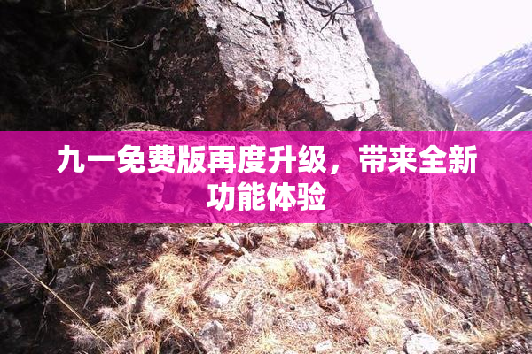 九一免费版再度升级，带来全新功能体验