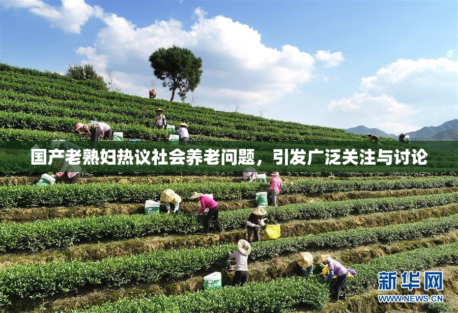 国产老熟妇热议社会养老问题，引发广泛关注与讨论