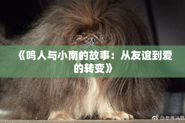 《鸣人与小南的故事：从友谊到爱的转变》