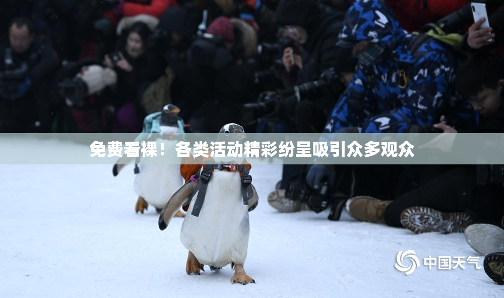 免费看裸！各类活动精彩纷呈吸引众多观众